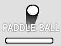 Oyunu PaddleBall