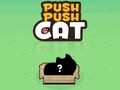 Oyunu Push Push Cat