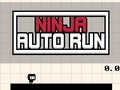 Oyunu Ninja Auto Run