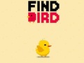 Oyunu Find Bird