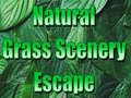 Oyunu Natural Grass Scenery Escape