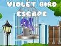 Oyunu Violet Bird Escape