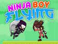 Oyunu Ninja Boy Flying