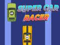 Oyunu Super Car Racer