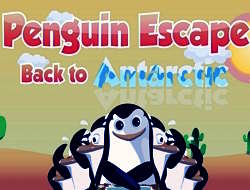 Penguen Antarktika'ya Kaçıyor .