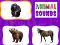Oyunu Animal Sounds