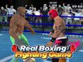 Oyunu Real Boxing Fighting Game