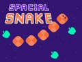 Oyunu Spacial Snake