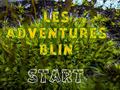 Oyunu Les Adventures Blin