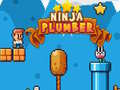 Oyunu Ninja Plumber