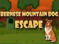 Oyunu Bernese Mountain Dog Escape
