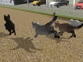 Oyunu Run Cat Cat Race