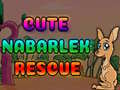Oyunu Cute Nabarlek Rescue