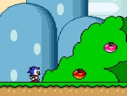 Süper Mario Dünyasında Sonic .