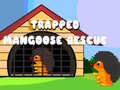 Oyunu Trapped Mangoose Rescue