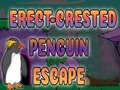 Oyunu Erect Crested Penguin Escape