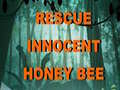 Oyunu Rescue Innocent Honey Bee 