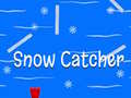Oyunu Snow Catcher