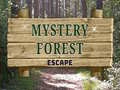 Oyunu Mystery Forest