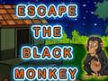 Oyunu Escape The Black Monkey