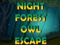 Oyunu Night Forest Owl Escape