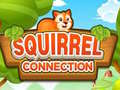 Oyunu Squirrel Connection
