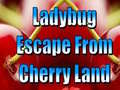 Oyunu Ladybug Escape From Cherry Land