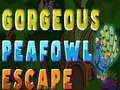Oyunu Gorgeous Peafowl Escape