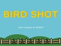 Oyunu Bird Shot
