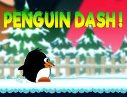 Penguen Koşusu! .