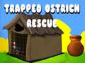 Oyunu Trapped Ostrich Rescue