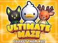 Oyunu Ultimate Maze! Collect Them All!