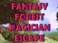 Oyunu Fantasy Forest Magician Escape