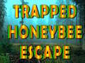 Oyunu Trapped Honeybee Escape