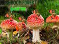 Oyunu Mushroom Forest Adventure