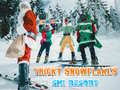 Oyunu Ski Resort Hidden Snowflakes