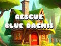 Oyunu Rescue Blue Dacnis