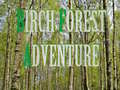 Oyunu Birch Forest Adventure
