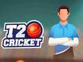 Oyunu T20 Cricket