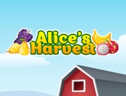 Alice'in Hasadı 