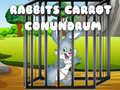 Oyunu Rabbits Carrot Conundrum