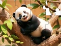 Oyunu Jigsaw Puzzle: Panda On Tree