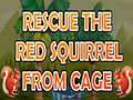 Oyunu Rescue The Red Squirrel From Cage