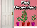 Oyunu Find Houseplant