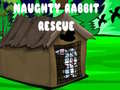Oyunu Naughty Rabbit Rescue