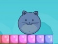 Oyunu Jelly Cat: Level Pack