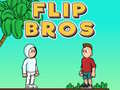 Oyunu Flip Bros