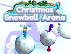 Noel Kartopu Arenası 