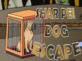 Oyunu Shar Pei Dog Escape