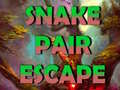 Oyunu Snake Pair Escape